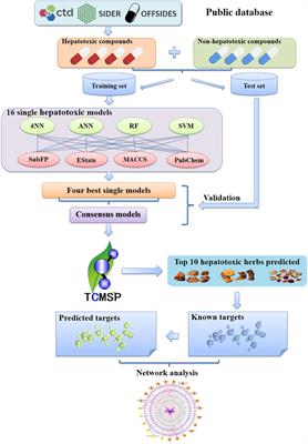 In silico Identification and Mechanism Exploration of Hepatotoxic Ingredients in Traditional Chinese Medicine